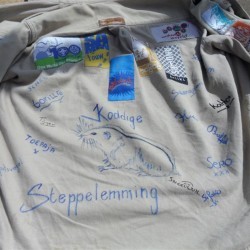 SAM 0432  Medium - Scouts en Gidsen Zaventem 